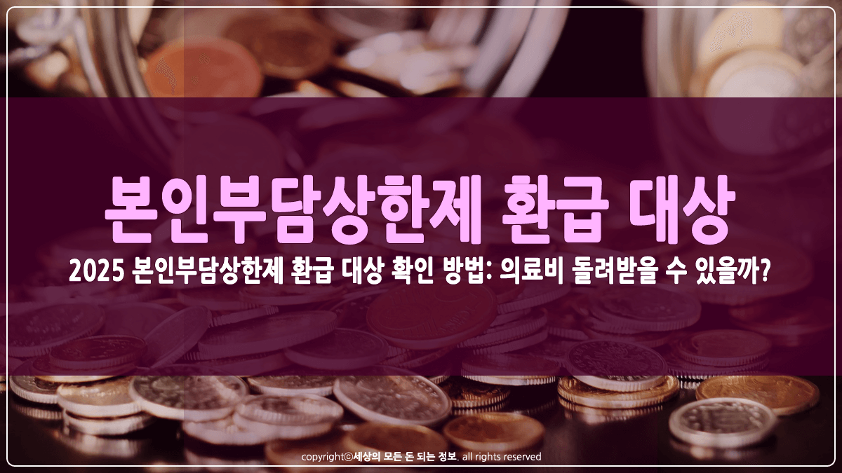 본인부담상한제 환급 대상 확인 방법 썸네일